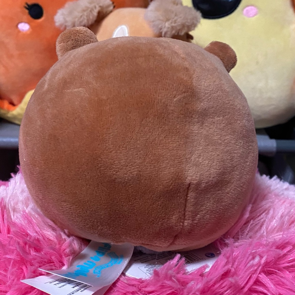 Squishmallows Flip 5” Chip Beaver & Rocky Racoon Flip-A-Mallow - Picture 9 of 9